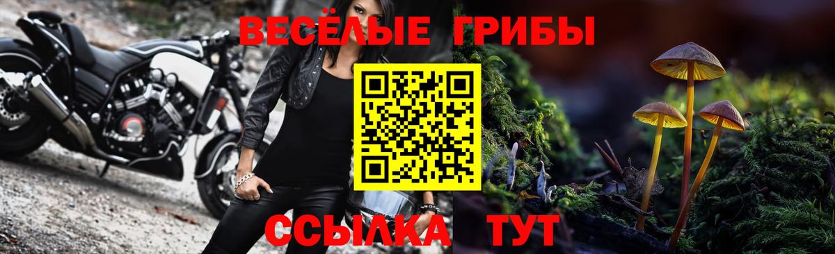 Псилоцибиновые грибы MAGIC MUSHROOMS  Вход с VPN  Тольятти  Галлюциногенные грибы Cubensis 